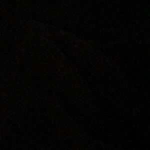 Meet your Posher, Alanna